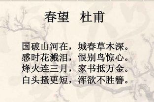10句關(guān)于愛(ài)國情懷的詩(shī)句