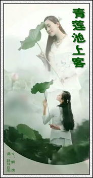 關(guān)于狐貍與青蓮的詩(shī)句