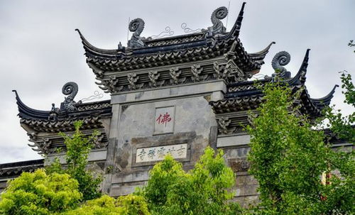 含有墨客的詩(shī)句,形容墨客的詩(shī)句,墨客描寫(xiě)丁香的詩(shī)句
