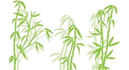 贊竹子的詩(shī)句古詩(shī),贊牛的詩(shī)句古詩(shī),贊鳥(niǎo)的詩(shī)句古詩(shī)