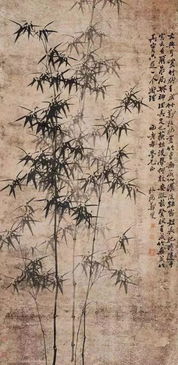 贊美竹子堅韌精神的詩(shī)句古詩(shī)鄭板橋