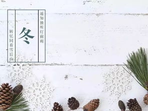 詩(shī)句,冬天