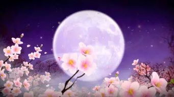 明月思念家鄉的詩(shī)句古詩(shī)詞