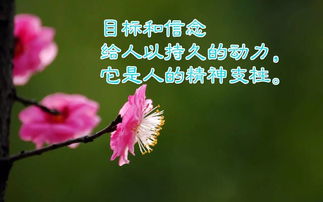 陽(yáng)光向上的古詩(shī)簡(jiǎn)短,古詩(shī)勵志的句子致自己簡(jiǎn)短,古詩(shī)座右銘勵志簡(jiǎn)短