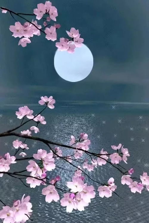 關(guān)于但愿人長(cháng)久的詩(shī)句