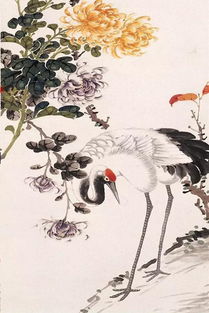 我花開(kāi)后百花殺菊的詩(shī)句古詩(shī)