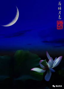 描寫(xiě)月色的古詩(shī)句,描寫(xiě)江面的古詩(shī)句,描寫(xiě)冬天江面的古詩(shī)句