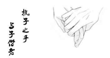 關(guān)于相守醫生的詩(shī)句