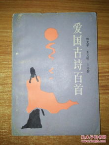 查一下爰國的古詩(shī)句