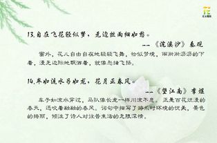 古詩(shī)中運用比喻的詩(shī)句是