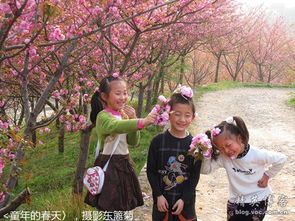 關(guān)于春天親情的詩(shī)句古詩(shī)大全