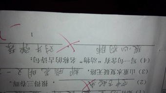 含有動(dòng)物的古詩(shī)句名句