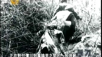 關(guān)于火焰的詩(shī)句