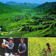 描寫(xiě)田園風(fēng)光的詩(shī)句有哪些?,山水田園風(fēng)光的詩(shī)句有哪些,鄉村田園風(fēng)光的詩(shī)句有哪些