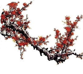 關(guān)于有梅花的詩(shī)句凌寒獨自開(kāi)
