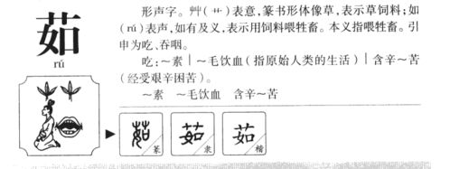 關于茹字的詩句