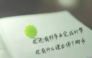 詩(shī)句,奮斗,成功
