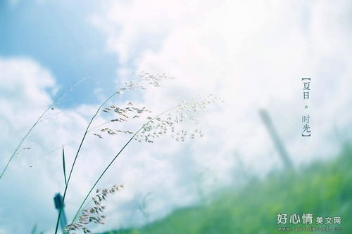 感嘆時(shí)間流逝的古詩(shī)句有哪些