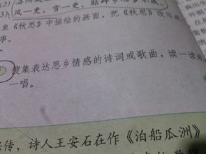 思鄉友情的古詩(shī)句