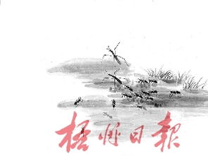 目的,詩(shī)句