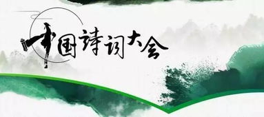中國古詩(shī)詞大會(huì )嘉賓引用的詩(shī)句