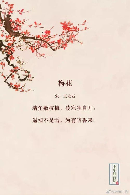 對關(guān)于喜歡花的詩(shī)句