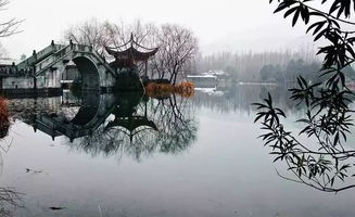 關(guān)于橋風(fēng)的詩(shī)句