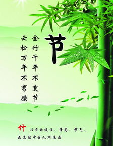 可作個(gè)性簽的古詩(shī)句