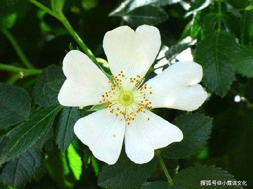 關(guān)于水的堅(jiān)持不懈的詩(shī)句,形容堅(jiān)持不懈的詩(shī)句,比喻堅(jiān)持不懈的詩(shī)句