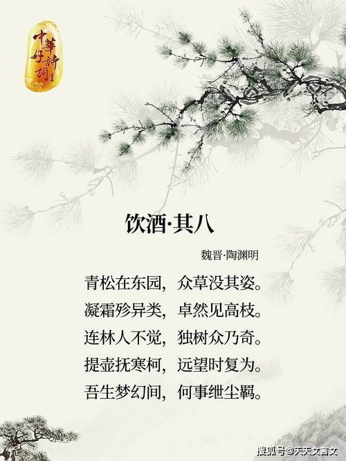 關(guān)于松樹(shù)與雪的詩(shī)句