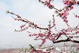 關(guān)于簡(jiǎn)單快樂(lè )的詩(shī)句