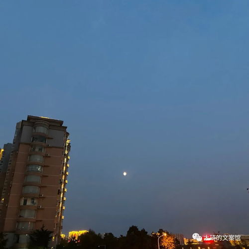 關(guān)于霧消散的詩(shī)句