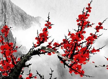 古詩(shī)詞,詩(shī)句,梅花,中秋