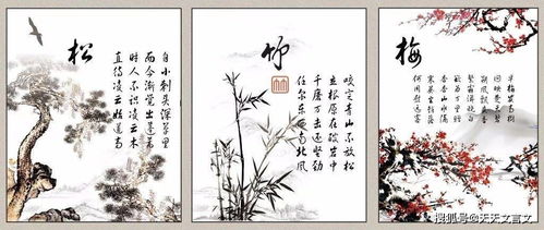 松樹(shù),詩(shī)句