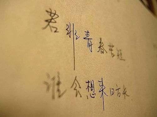 關(guān)于青春的英文詩(shī)句