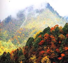 關(guān)于西嶺雪山的詩(shī)句