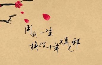 關(guān)于追憶易逝青春的詩(shī)句