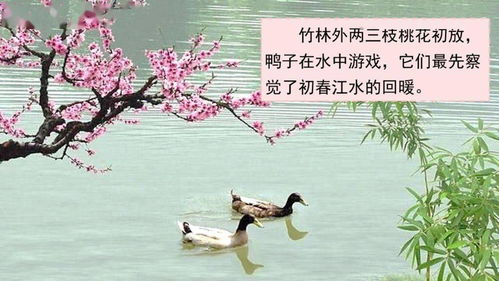 寫(xiě)山的詩(shī)句古詩(shī)三級