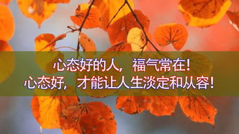 關(guān)于從容心態(tài)的相關(guān)詩(shī)句