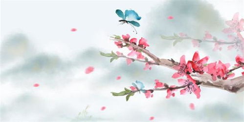 詩(shī)句