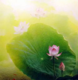 盛夏荷花的美好詩(shī)句,描寫(xiě)荷花的美好詩(shī)句,描寫(xiě)荷花美好品質(zhì)的詩(shī)句
