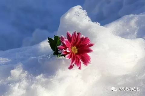 關(guān)于逆境中成長(cháng)詩(shī)句