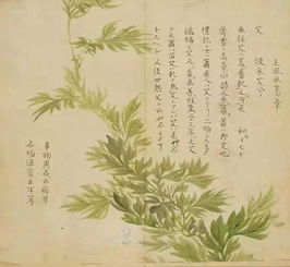 關(guān)于植物的優(yōu)美古詩(shī)句