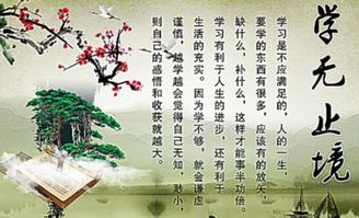 關(guān)于學(xué)無(wú)止境的詩(shī)句或名言