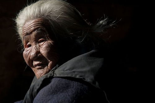 寫(xiě)出關(guān)于歌頌母親的詩(shī)句有哪些