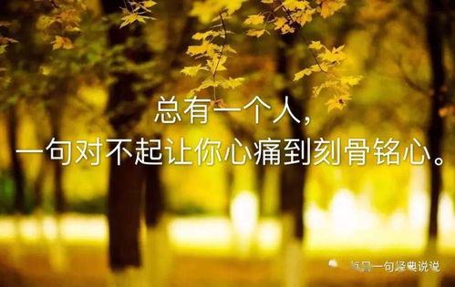 關(guān)于無(wú)言之美的詩(shī)句