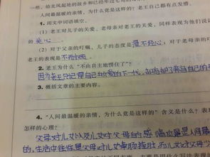 關(guān)于親情的作文標題新穎有詩(shī)句