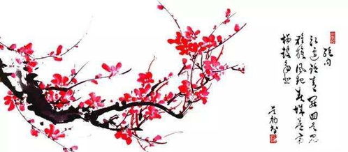 贊美梅花古詩(shī)的詩(shī)句是什么