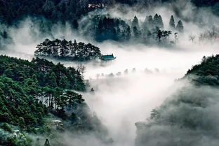 廬山,詩(shī)句,贊美,景色