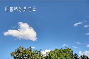 冬天蘇州的詩(shī)句古詩(shī)